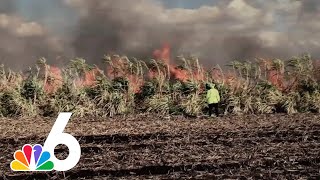 Bittersweet Muck A journey into big sugar country by NBC 6 South Florida No views 1 hour, 21 minutes