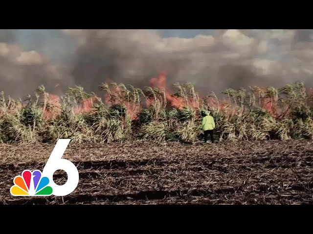 Bittersweet Muck: Florida sugar fires lead to complaints, research