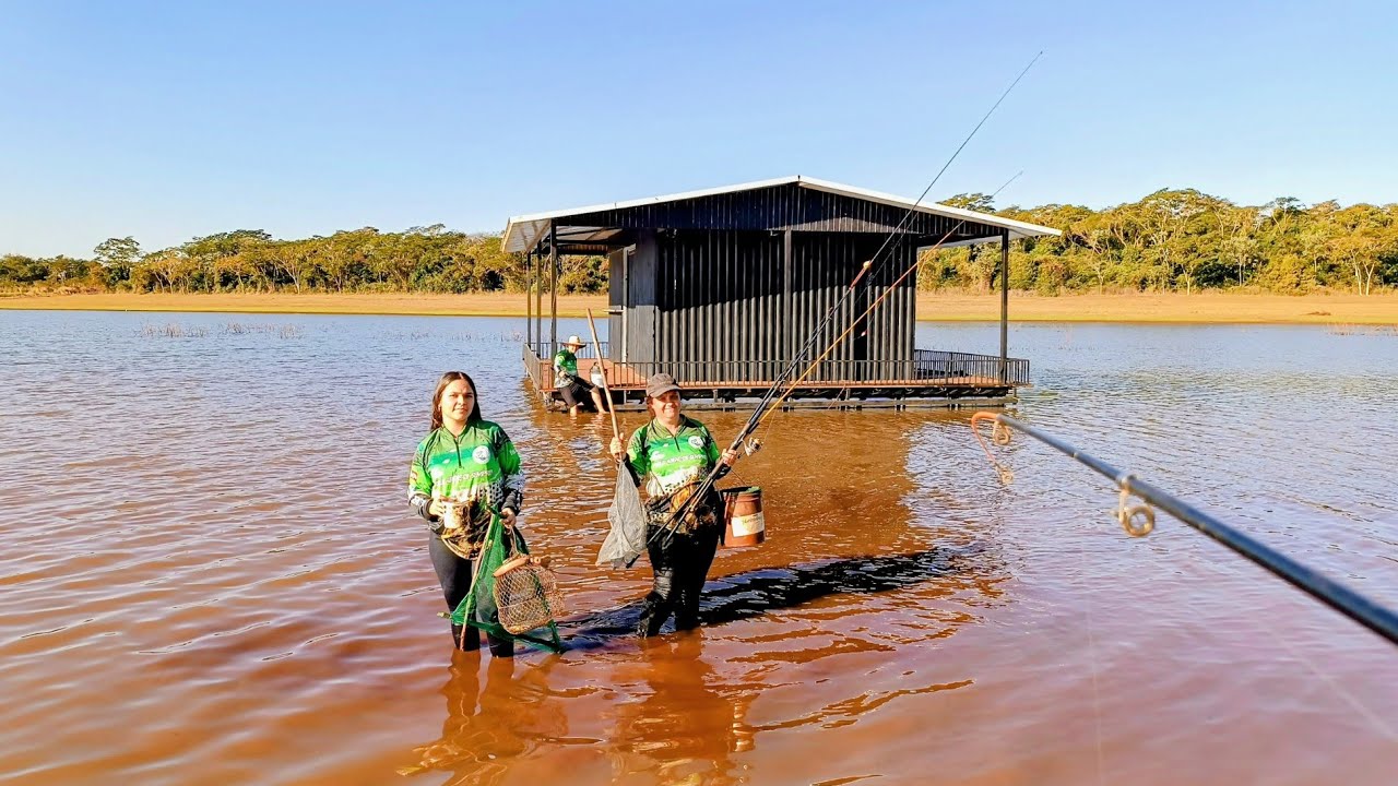  NÃO DAVA TEMPO DE PISCA !!!! Nós Eucaliptos Rio grande..