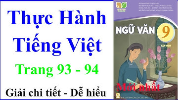 Thực Hành Tiếng Việt | Ngữ Văn Lớp 9 Tập 1 Trang 93 – 94 | Kết Nối Tri Thức