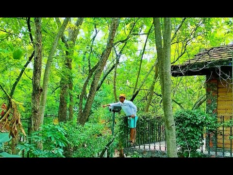 LA CASA DE LOS ÁRBOLES HOTEL BOUTIQUE ZACUALPAN DE AMILPAS MORELOS MÉXICO
