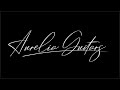 Aurelia guitars  carbide 3d shapeoko xl assembly and test run