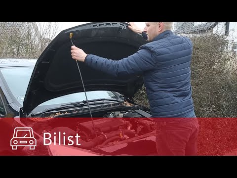 Video: Køre med kæledyr? 6 tips til at holde bilen ren og lugtfri