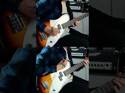 The Super Compact Ashdown PBM-200!