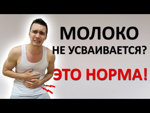 Непереносимость лактозы. Почему молоко не усваивается? Какие есть обходные пути?