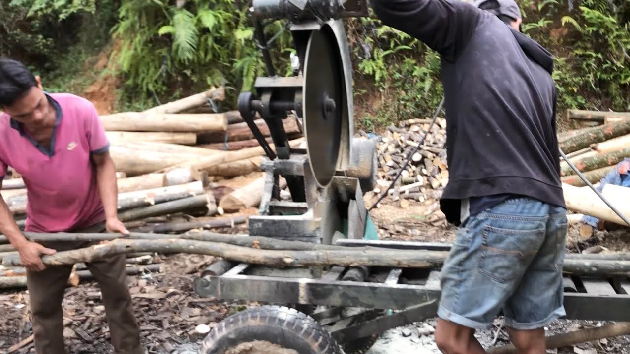 Cut Two Trees At The Same Time With A Very Sharp Saw Blade - YouTube