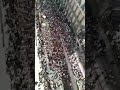 حراك الجزائر لا اله الاالله محمد رسول الله والسيسي عدو الله  mp3