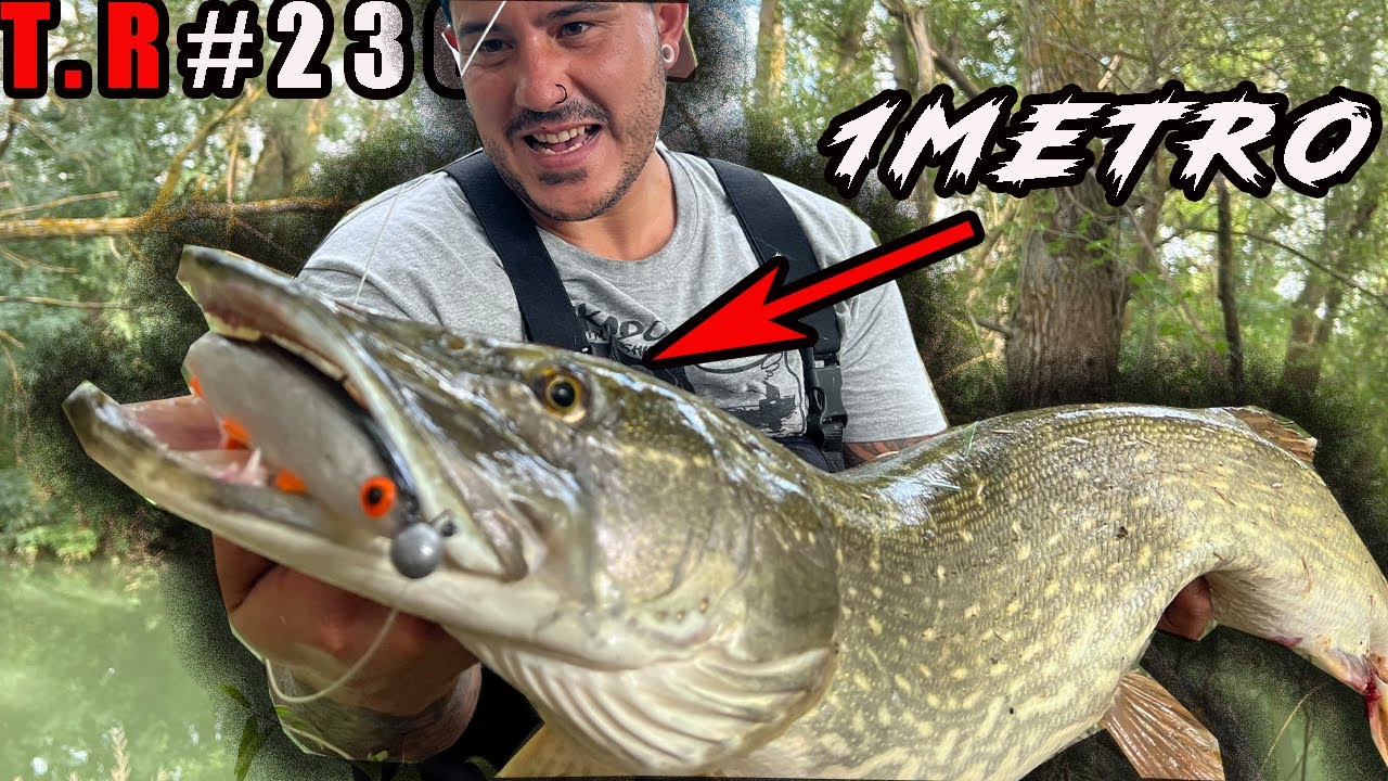 👉PESCO UN LUCIO DE 1 METRO DOS VECES EN MENOS DE 24 HORAS😳