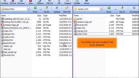 Managing files in FTP Voyager
