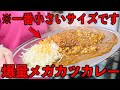 静岡）超特大重量無制限ギガカツカレー！巨漢の店主と豪快奥さんが営むデカ盛り大衆食堂！