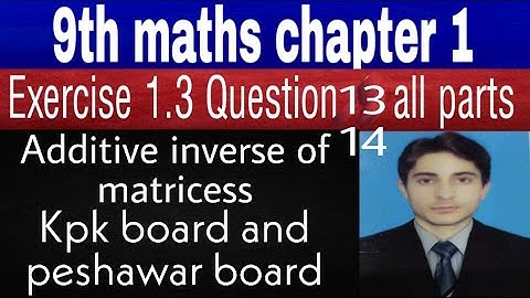 9th maths kpk board  chapter 1 exercise 1.3 || question 13, 14 Peshawar board || Additive inverse