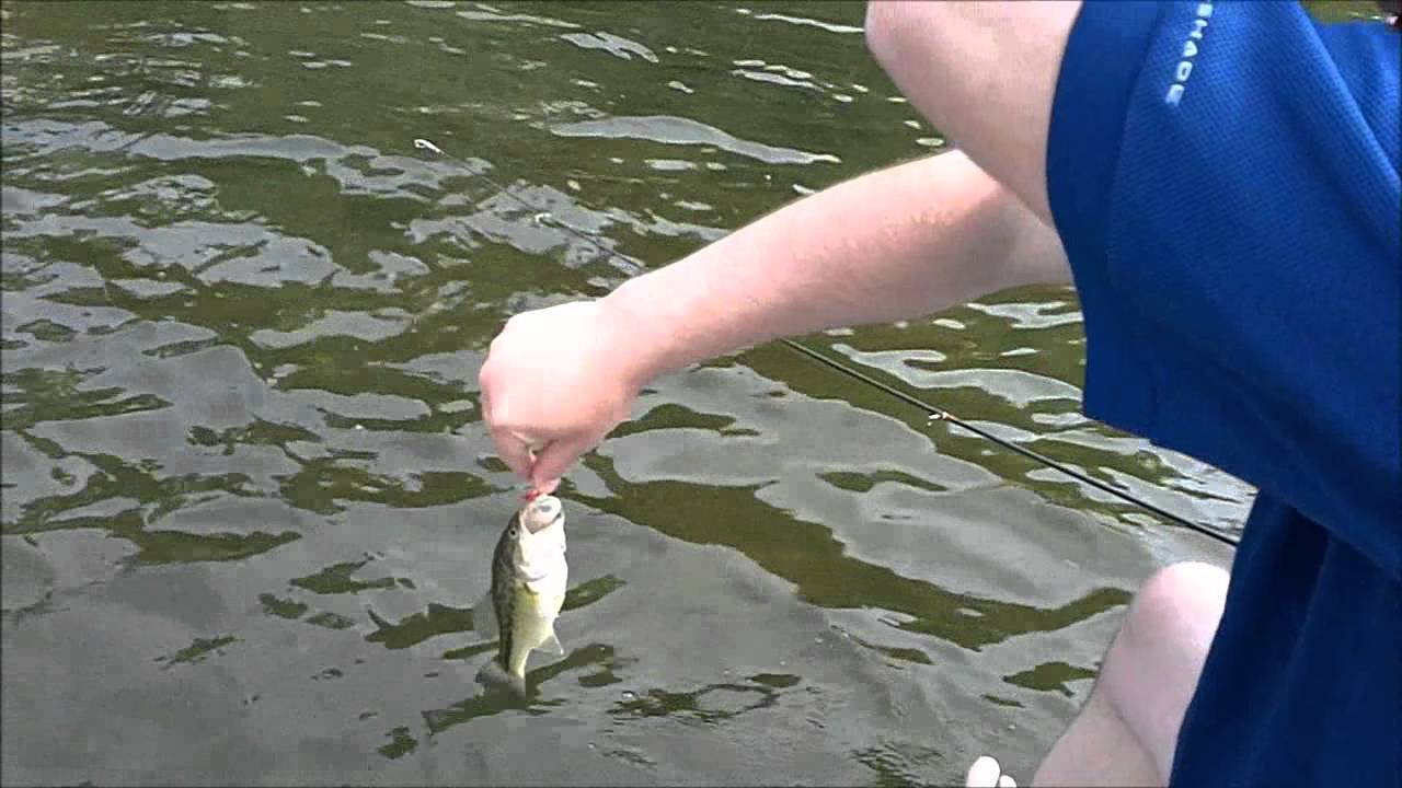 Dock Fishing Detroit Lakes YouTube