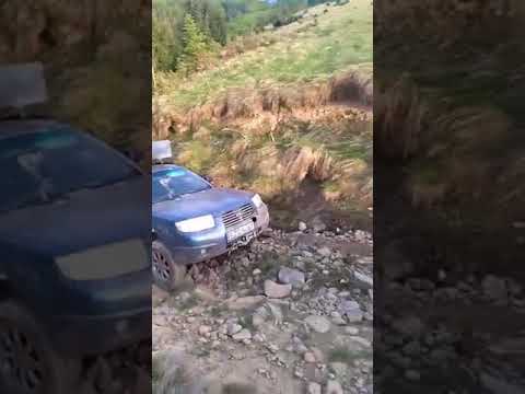 Subaru Forester off