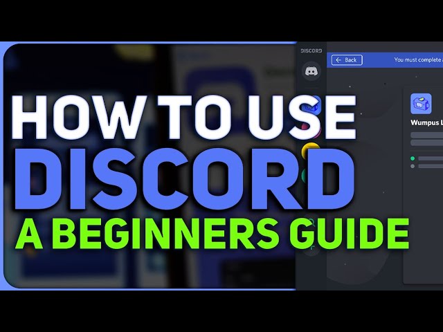 How to use Discord: A beginner's guide