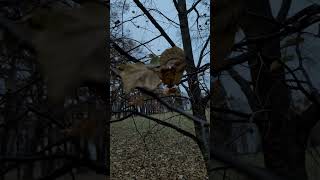Темное небо #эзотерика #мудрость #экстрасенс #мистика #магия #таро #shortsvideo #shorts
