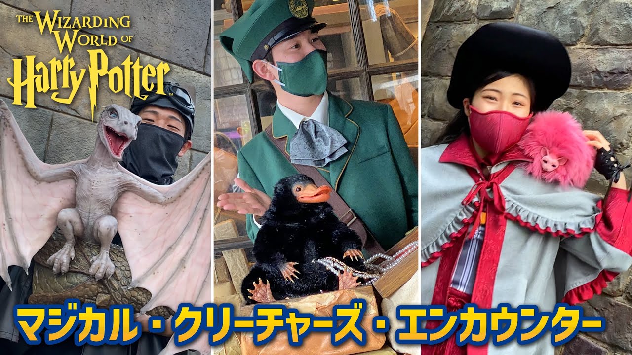 Magical Creatures Encounter at Universal Studios Japan | Wizarding