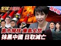日本的擁核論