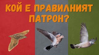 Преди началото на ловния сезон: Кой е правилният патрон за различните видове дивеч?