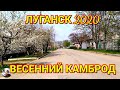 Луганск 2020. Весенний Камброд. Пешая прогулка по Камброду. Воспоминания о весне.