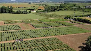 VÍDEO RESUMEN Jornada de puertas abiertas en la finca de experimentación de Arazuri