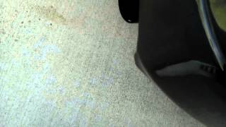 1g DSM Kelford 272s