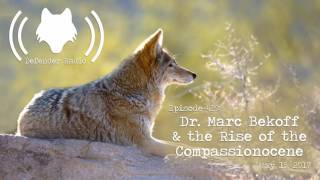 Episode 429: Dr. Marc Bekoff and the Rise of the Compassionocene