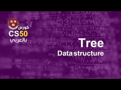 كورس [week5 - 5] cs50 بالعربي | search in binary tree - كورس [week5 - 5] cs50 بالعربي | search in binary tree