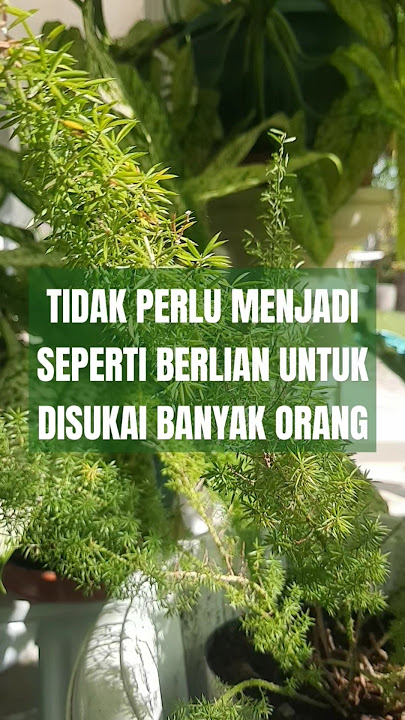 Tidak Perlu Menjadi Seperti Berlian Untuk Disukai Banyak Orang #katakatabijak #katabijak #quotes