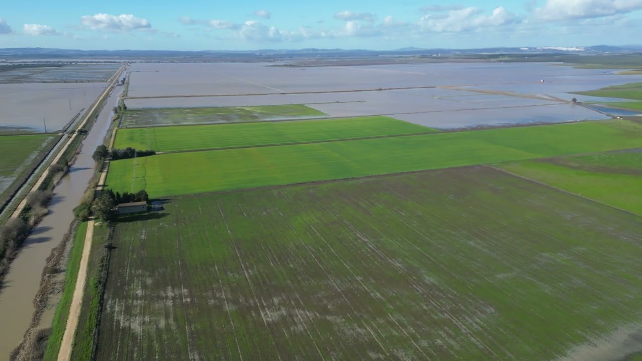 Vision 360 grados sobre la vertical del Canal colector del Este a la altura del vado de Tapatana