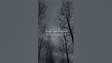 ﴿مَن عَمِلَ صالِحًا مِن ذَكَرٍ أَو أُنثى وَهُوَ مُؤمِنٌ | سورة النحل