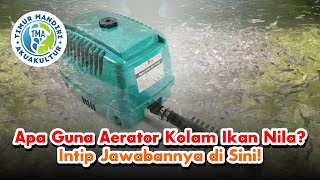 What's the Use of a Tilapia Pond Aerator? Check Out the Answers Here! #cultivation #ideas #cultiv...