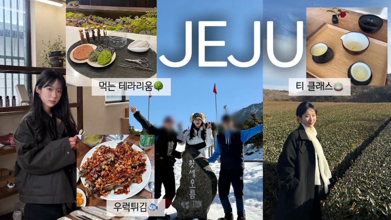 시부모님과 겨울 제주도 여행✈️| 한라산 윗세오름 코스🏔️|  먹는 테라리움 만들고 티 클래스 듣기🌿| 강추하는 우럭 튀김 맛집 | 밤마다 맥주파티🍻