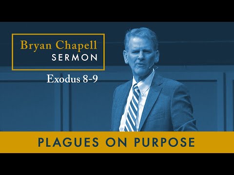 Bryan Chapell Sermon | "Plagues on Purpose"