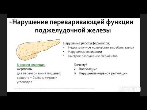 Видео: Форсаж луковиц в алкоголе: предотвращение флоппи-бумаги, амариллисов и других луковиц