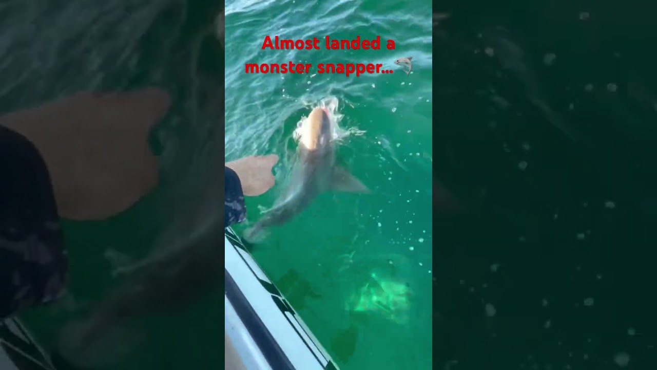 Offshore fishing in St Augustine Fl         