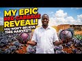 He Makes Over 1000 From 1 Bed Of Red Cabbage He Makes Over 1000 From 1 Bed Of Red Cabbage