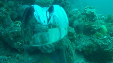 How long does a scuba tank last?