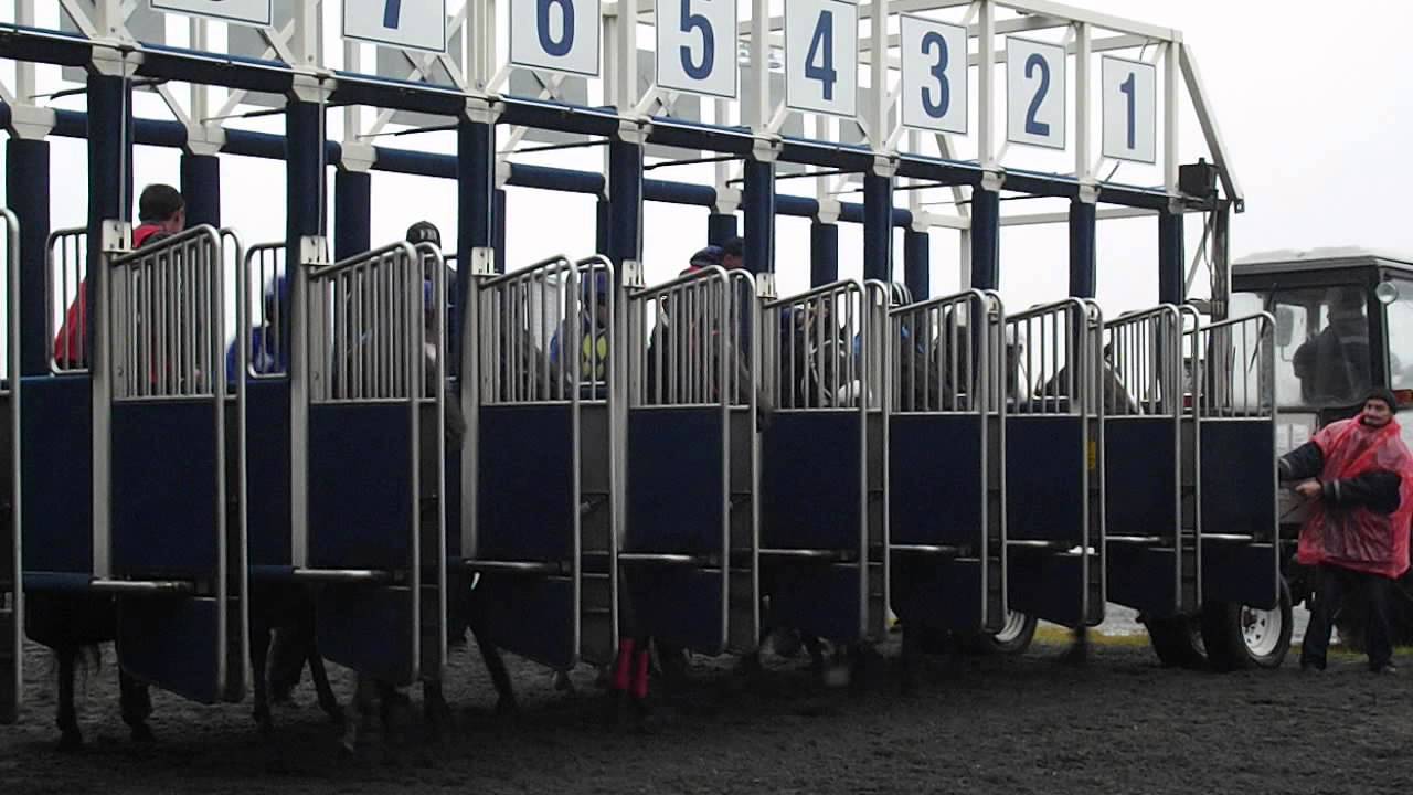 Скачки. Ипподром АКБУЗАТ. Уфа 11.10.2014г. Артик Колд 1 ч. Старт. - YouTube