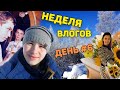 Что Алекс помнит о России/Встреча с Алей/Неделя влогов. День 6/일주일영상 6일차KOREA VLOG