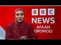 Bbc Afaan Oromoo February 25 2025 Ethiopian News Today Bbc Afaan Oromoo February 25 2025 Ethiopian News Today
