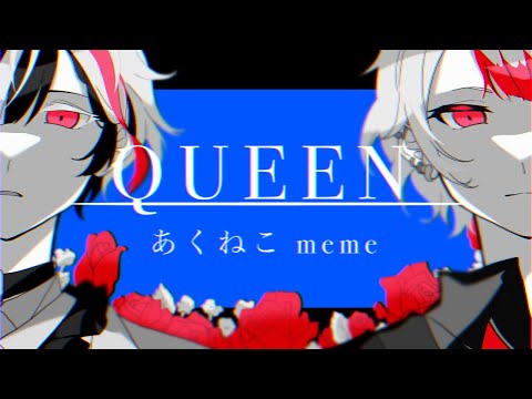 【手描きあくねこ】N.E.E.U.Q【meme】