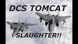 DCS F14 TOMCAT TWO SHIP ACTION
