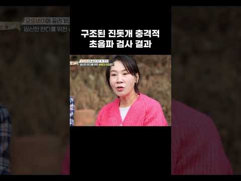 진돗개가 유난히 사람을 피한 이유 #shorts