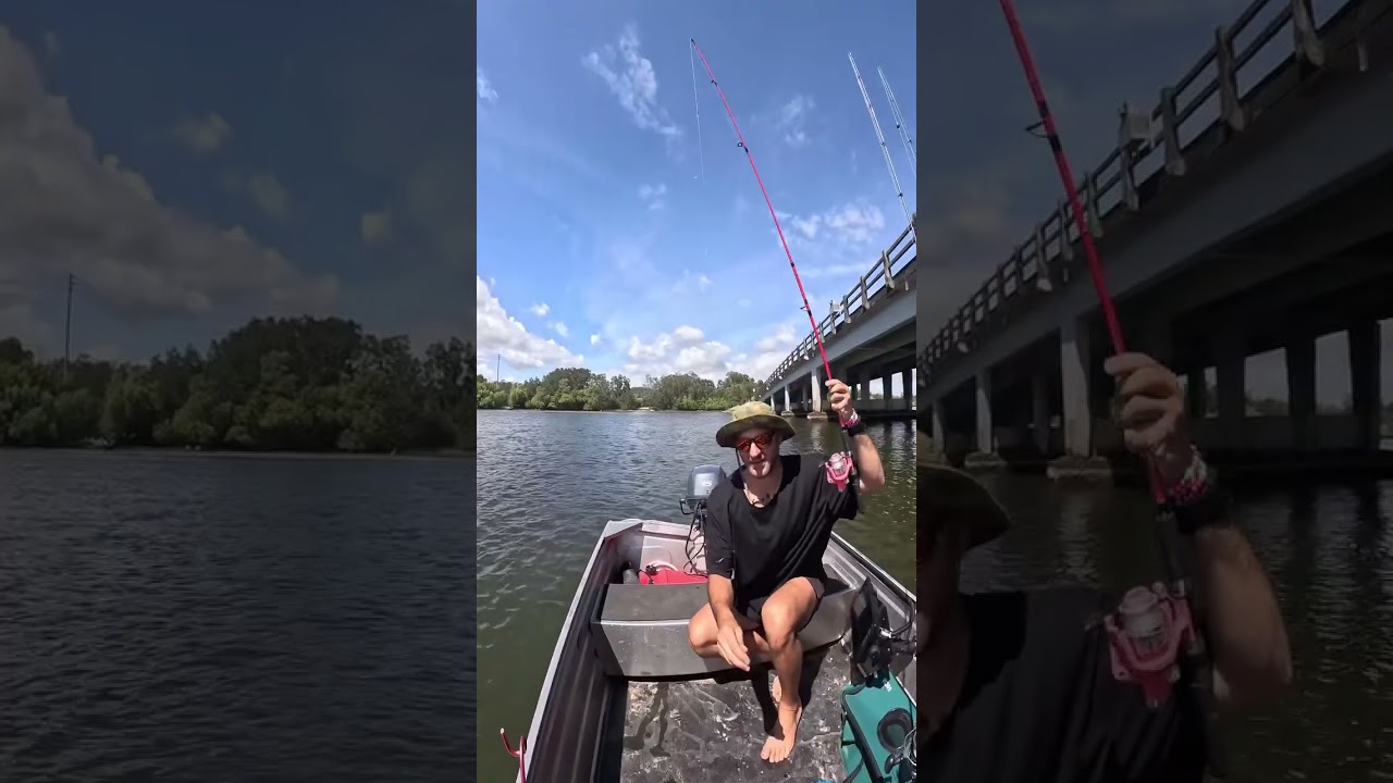 Ловля морского окуня на живую наживку 