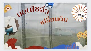 เปลี่ยนดินบอนไซจิ๋ว