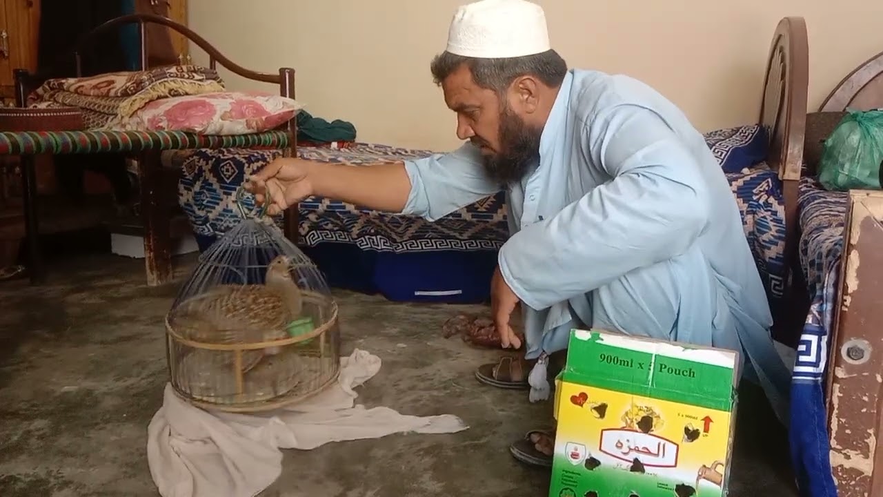 ماشاءاللہ ویڈیو آخیر تک دیکھے بہت مزہ آیا گا