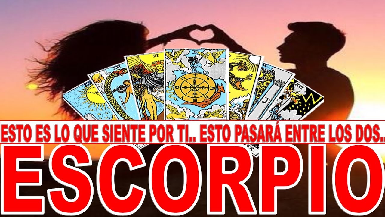 ESCORPIO ♏ ESTO ES LO QUE SIENTE POR TI 💞 ESTO PASARÁ ENTRE LOS DOS 💲 ...