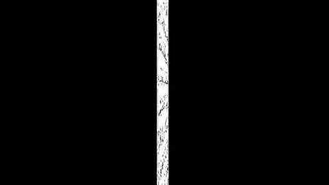 سورة إبراهيم كاملة بصوت مجاهد القادري (مقام البيات )