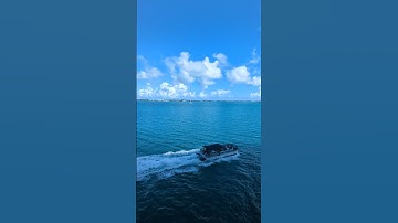 Thumbnail of Bermuda #music #cover #coversong #song #cruise