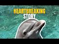 Flipper the Dolphin's Trainer Speaks Out on Her Tragic Death